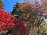 鏡石鹿嶋神社 *安産・開運・勝利の神さま*(福島県)