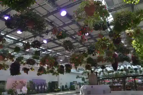 よみうりランド観音(東京都)