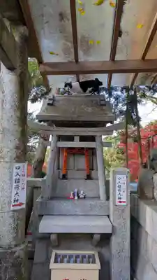 荒木神社(京都府)