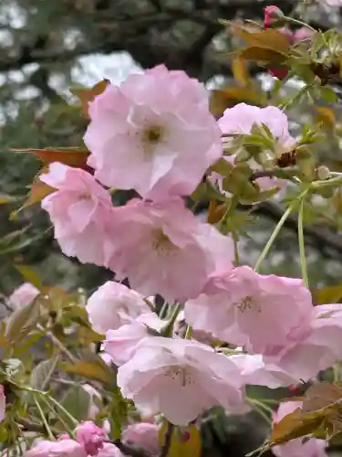 淡嶋神社の{uncategorized: "未分類", other: "その他", undefined: "問題あり", building: "その他建物", grave: "お墓", sacred_gate: "鳥居", guardian: "狛犬", statue: "像", buddha: "仏像", history: "歴史", nature: "自然", garden: "庭園", animal: "動物", pagoda: "塔", temizu: "手水舎", mountain_gate: "山門・神門", sanctuary: "本殿・本堂", subordinate: "末社・摂社", art: "芸術", scenery: "景色", jizo: "地蔵", ema: "絵馬", goshuin: "御朱印", omikuji: "おみくじ", items: "授与品その他", amulet: "お守り", goshuincho: "御朱印帳", eats: "食事", festival: "お祭り", votive_dance: "神楽", shichigosan: "七五三参", wedding: "結婚式", experience: "体験その他", initially: "初詣", around: "周辺", anti_infection: "感染症対策"}