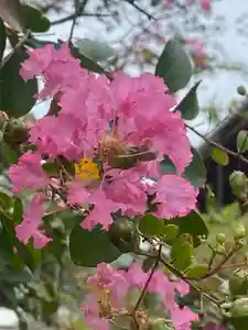 海龍王寺(奈良県)(2025年09月14日(日) 11時21分56秒投稿)