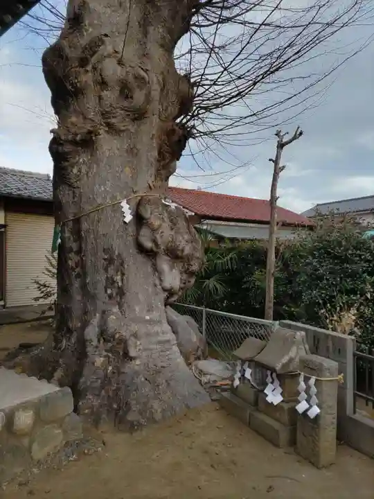 神明神社の自然