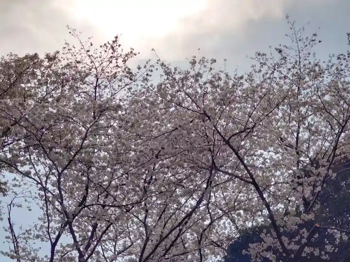 腰掛神社(神奈川県)