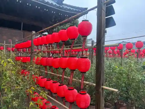 おふさ観音（観音寺）(奈良県)