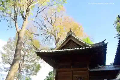 戸越八幡神社の本殿・本堂