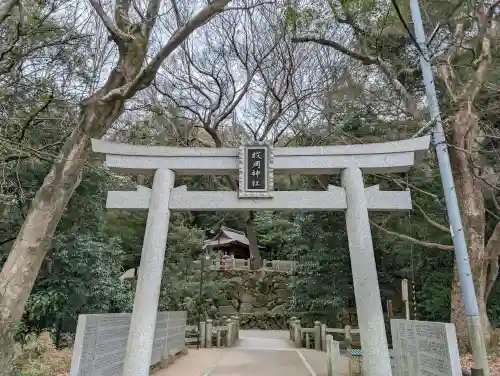 枚岡神社の{uncategorized: "未分類", other: "その他", undefined: "問題あり", building: "その他建物", grave: "お墓", sacred_gate: "鳥居", guardian: "狛犬", statue: "像", buddha: "仏像", history: "歴史", nature: "自然", garden: "庭園", animal: "動物", pagoda: "塔", temizu: "手水舎", mountain_gate: "山門・神門", sanctuary: "本殿・本堂", subordinate: "末社・摂社", art: "芸術", scenery: "景色", jizo: "地蔵", ema: "絵馬", goshuin: "御朱印", omikuji: "おみくじ", items: "授与品その他", amulet: "お守り", goshuincho: "御朱印帳", eats: "食事", festival: "お祭り", votive_dance: "神楽", shichigosan: "七五三参", wedding: "結婚式", experience: "体験その他", initially: "初詣", around: "周辺", anti_infection: "感染症対策"}