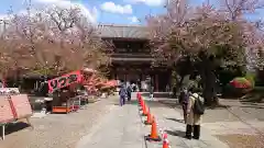 池上本門寺のお祭り