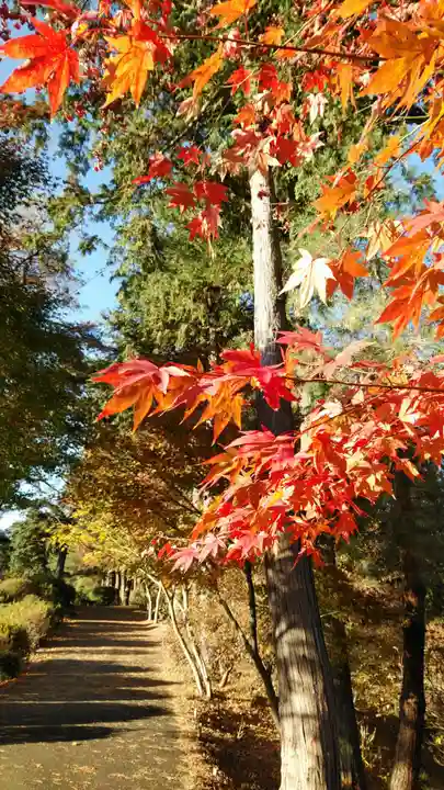 塩船観音寺の自然