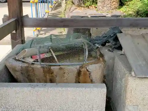 難波八幡神社の手水舎