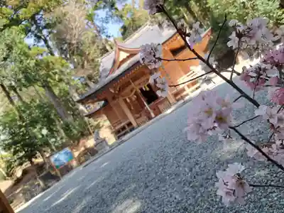 須山浅間神社(静岡県)