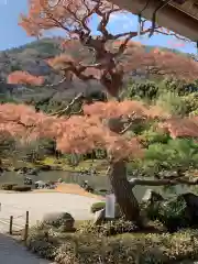 天龍寺の庭園