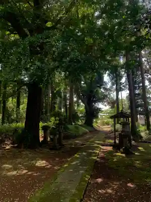 椿神社(千葉県)