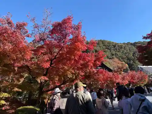禅林寺（永観堂）(京都府)