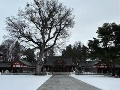 北海道護國神社(北海道)