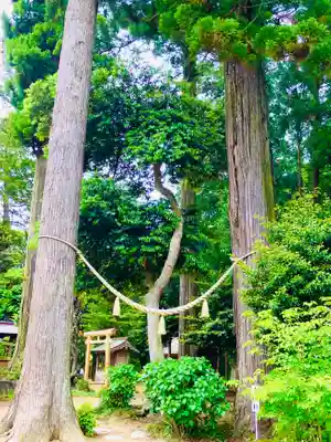山倉大神(千葉県)