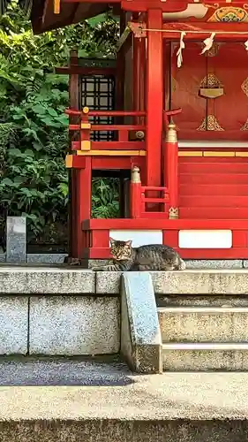 白金氷川神社の動物