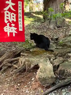 高司神社〜むすびの神の鎮まる社〜(福島県)
