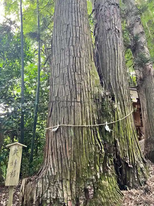 熊野神社(宮城県)