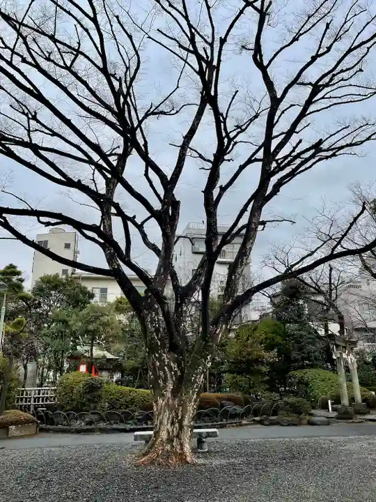 天祖諏訪神社(東京都)
