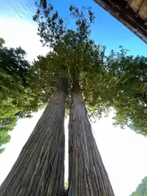 高司神社〜むすびの神の鎮まる社〜(福島県)