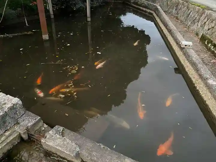嘉川八幡宮(山口県)