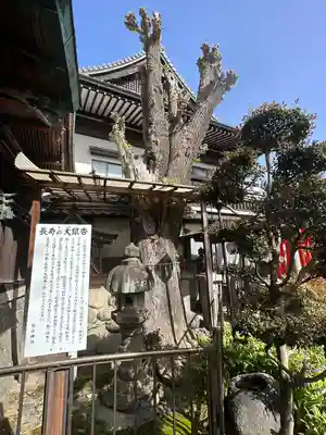 松山神社(愛知県)