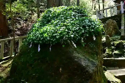 賀毗禮神宮(茨城県)