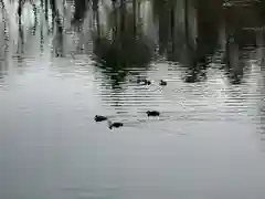 射水神社の周辺