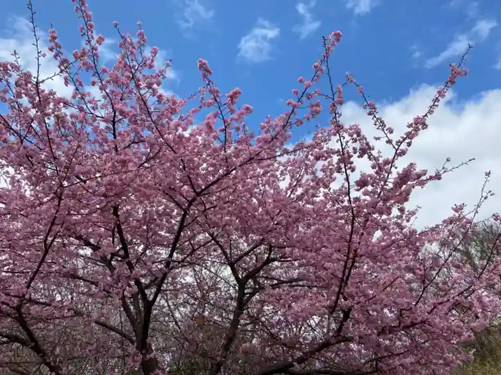 諸口神社の自然