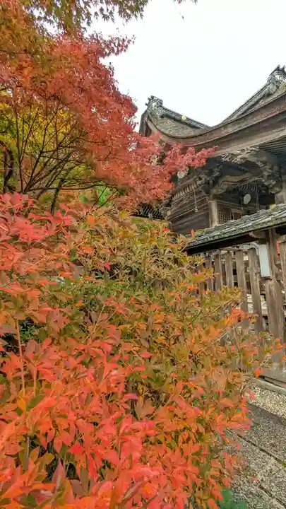 鍬山神社(京都府)