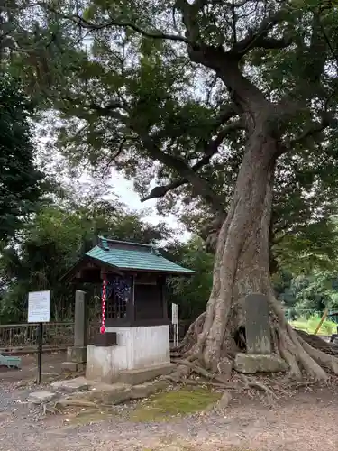 星神社(臼井妙見社)(千葉県)