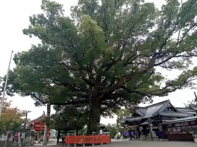 百舌鳥八幡宮(大阪府)