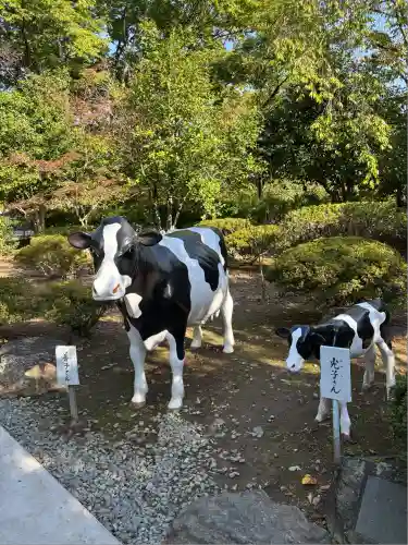 善光寺(長野県)