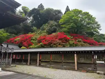高良大社の{uncategorized: "未分類", other: "その他", undefined: "問題あり", building: "その他建物", grave: "お墓", sacred_gate: "鳥居", guardian: "狛犬", statue: "像", buddha: "仏像", history: "歴史", nature: "自然", garden: "庭園", animal: "動物", pagoda: "塔", temizu: "手水舎", mountain_gate: "山門・神門", sanctuary: "本殿・本堂", subordinate: "末社・摂社", art: "芸術", scenery: "景色", jizo: "地蔵", ema: "絵馬", goshuin: "御朱印", omikuji: "おみくじ", items: "授与品その他", amulet: "お守り", goshuincho: "御朱印帳", eats: "食事", festival: "お祭り", votive_dance: "神楽", shichigosan: "七五三参", wedding: "結婚式", experience: "体験その他", initially: "初詣", around: "周辺", anti_infection: "感染症対策"}
