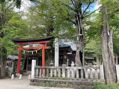 淺間神社（忍野八海）(山梨県)