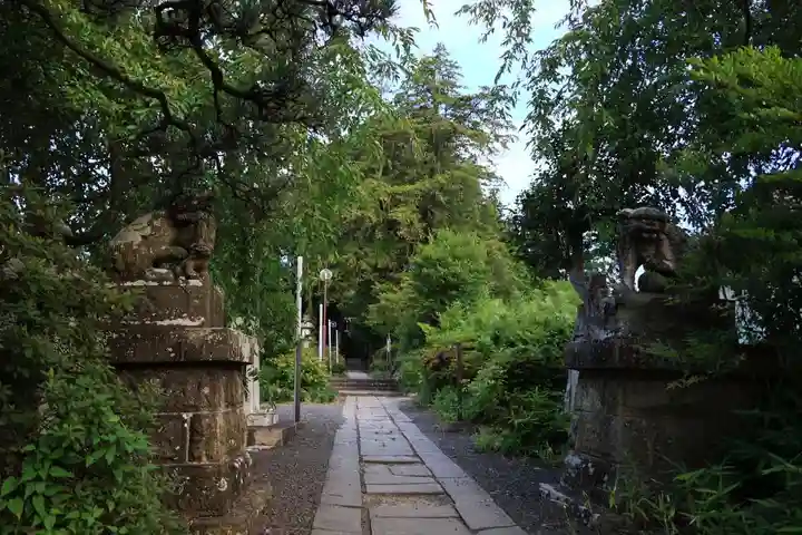 豊景神社の狛犬