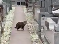 圓頓寺(千葉県)