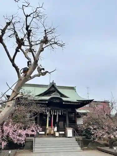 桜神宮(東京都)