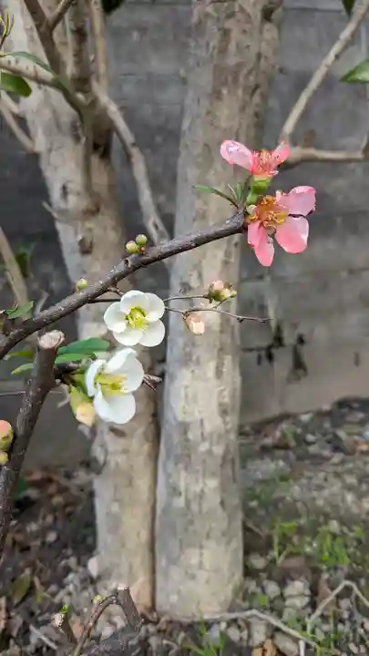 後白河院御聖蹟 法住寺(京都府)