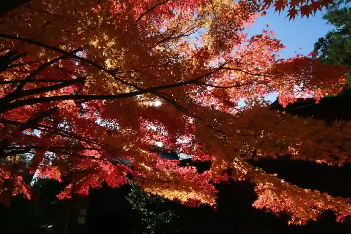 滑川神社 - 仕事と子どもの守り神の自然