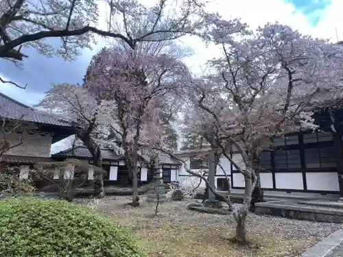 報恩寺(岩手県)