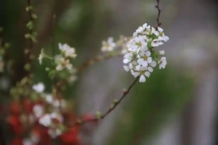 滑川神社 - 仕事と子どもの守り神の授与品その他