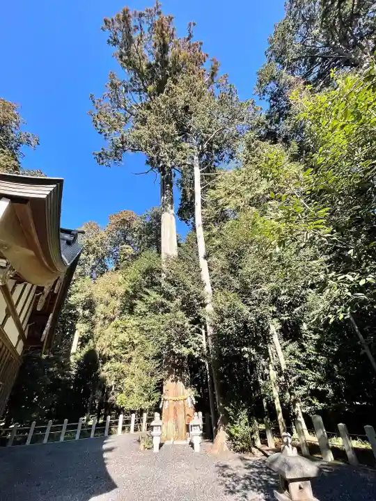 花枝神社(滋賀県)