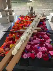 帯廣神社の手水