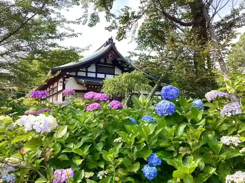 本土寺(千葉県)