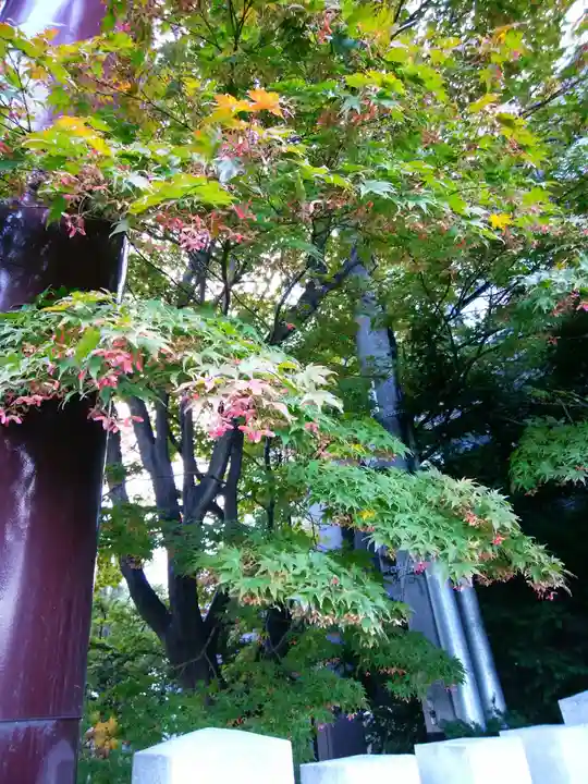 豊平神社(北海道)