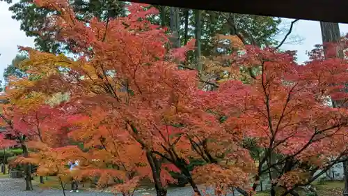 真正極楽寺（真如堂）(京都府)