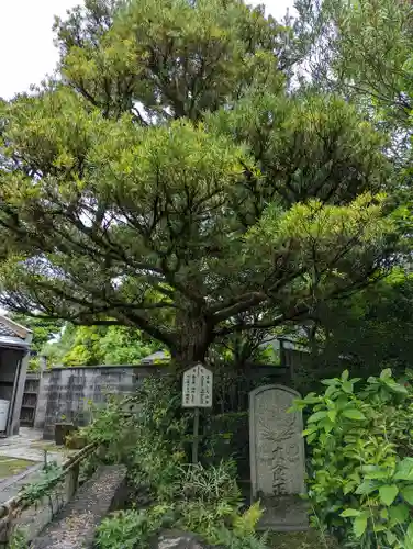 木食寺安祥院(京都府)