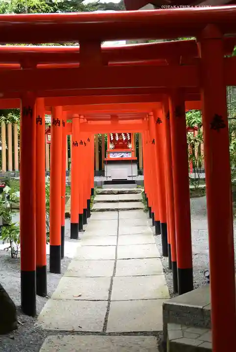 來宮神社(静岡県)