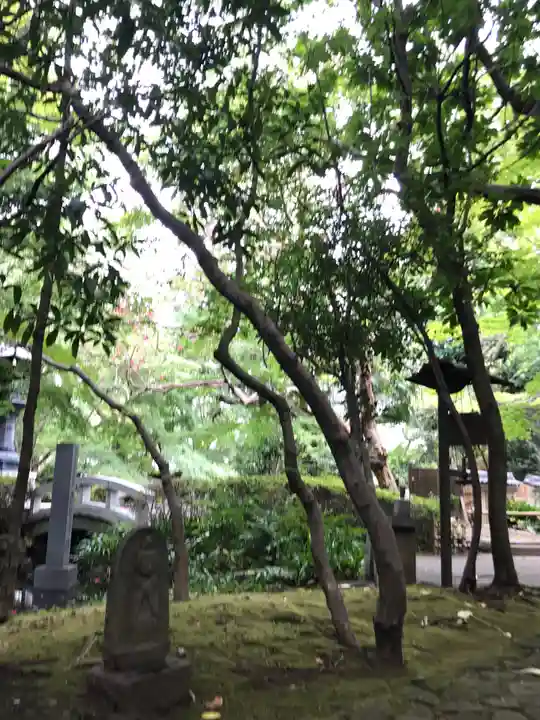 大正寺の庭園